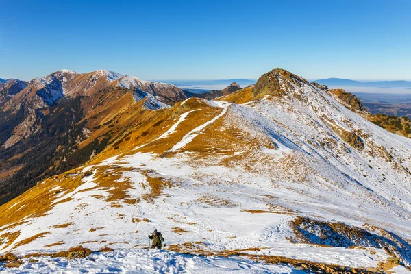 冬日里看来的高塔特拉山，波兰 — 图库照片