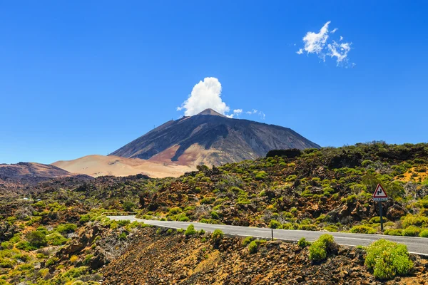 İspanya, Kanarya Adaları, Tenerife 'deki Volkan El Teide manzarası 