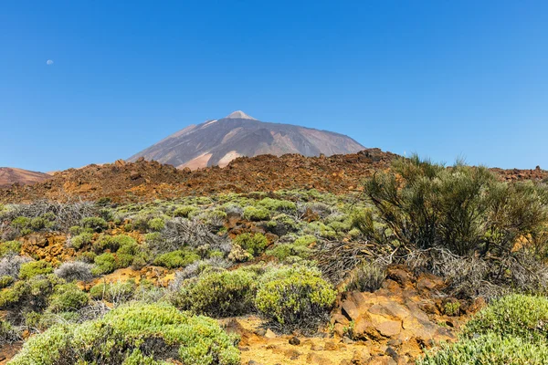 Vista del Volcán El Teide en Tenerife, Islas Canarias, España — Foto de Stock