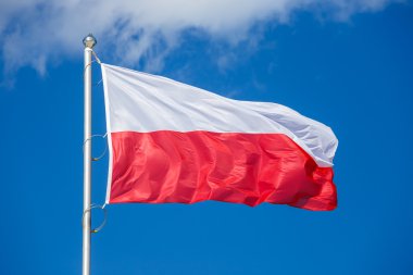 Mavi gökyüzü arka plan üzerinde Polonya bayrağı