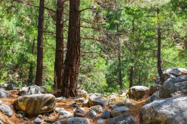 Girit, Grece Samiriye Gorge