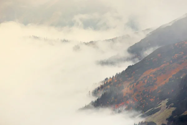 Bulutlar çevresinde kırmızı tepeler, Tatra Dağları, Polonya — Stok fotoğraf