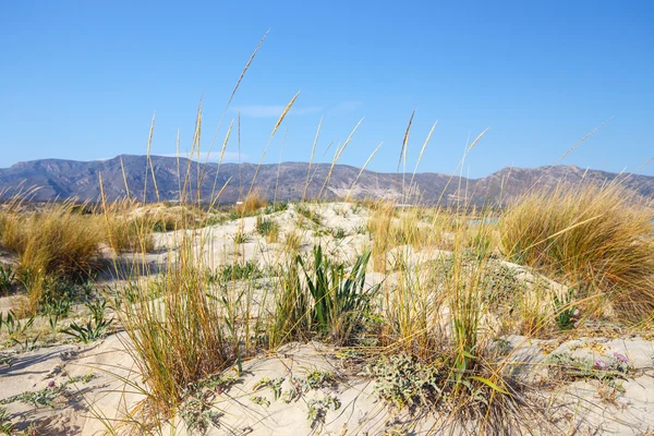 Spiaggia di Elafonissi a Creta, Grecia — Foto Stock