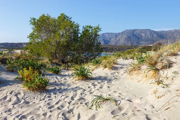 Spiaggia di Elafonissi a Creta, Grecia — Foto Stock