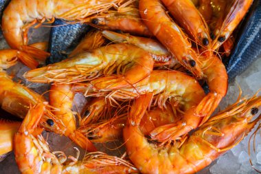 Deniz ürünleri Restoran Crete, Yunanistan için buzdolabında taze deniz ürünleri