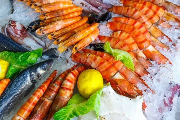 Świeże owoce morza w lodówce ryby i owoce morza restauracji w Kreta, Grecja — Zdjęcie stockowe