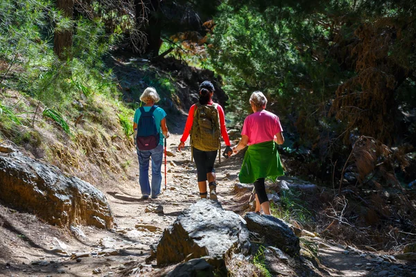 撒马利亚峡谷、 希腊-2016 年 5 月 26 日 ︰ 游客徒步在克里特岛，希腊中部的萨马利亚峡谷。自 1981 年以来国家公园是教科文组织生物圈保护区 — 图库照片