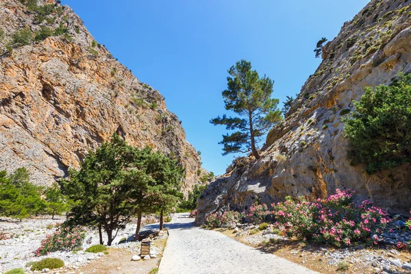 Samaria Gorge on Crete, Grece — Stock Photo, Image