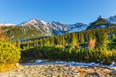 sonbahar dağ manzarası, kırmızı tepeler, Tatras dağ