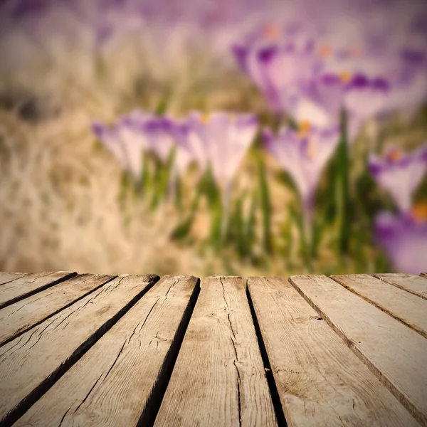 Meadow full of crocuses and empty wooden deck table. Ready for product montage display — Stock Photo, Image