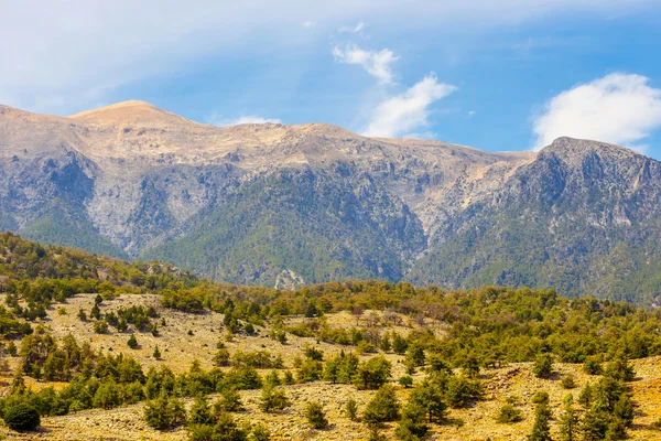 Aradena Gorge, Crete Island, Greece — Stock Photo, Image