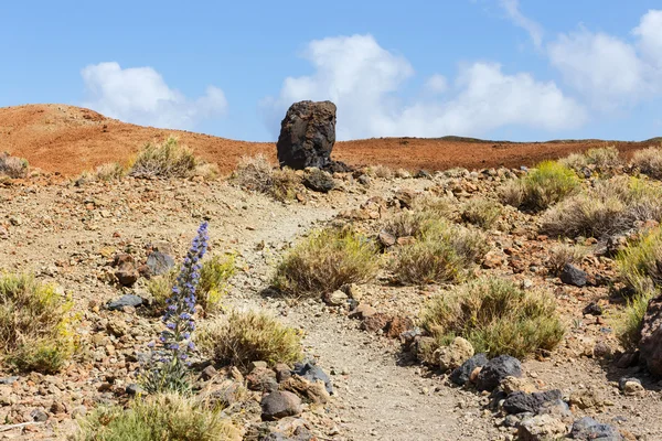 Bombas vulcânicas em Montana Blanca, Parque Nacional Teide, Tenerife, Ilhas Canárias, Espanha — Fotografia de Stock