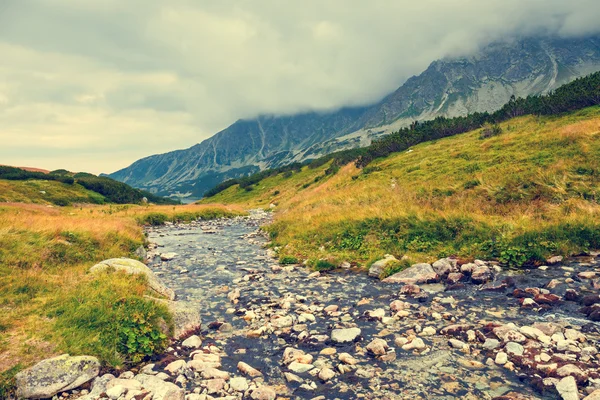 Herfst landschap, Tatra bergen, Polen — Stockfoto