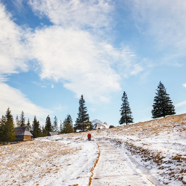 Sonbahar manzara, Tatra Dağları, Polonya — Stok fotoğraf