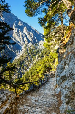 Samiriye Gorge Merkezi Girit, Yunanistan