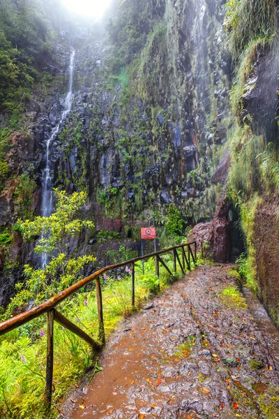 Laurel skog och bevattning-kanalen. Lewada das 25 fontes och Lewada do Risco, ön Madeira, Portugal — Stockfoto
