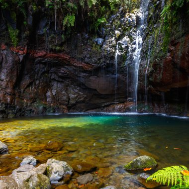 Şelale Levada 25 das fontes, Madeira Adası, Portekiz