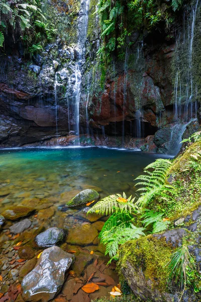 Şelale Levada 25 das fontes, Madeira Adası, Portekiz