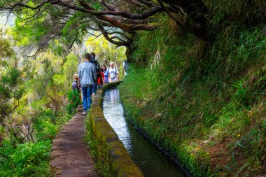 Madeira, Portekiz 04 Temmuz, 2016: kimliği belirsiz kişi Levada Risco, Madeira Adası, Portekiz için yürüyüş