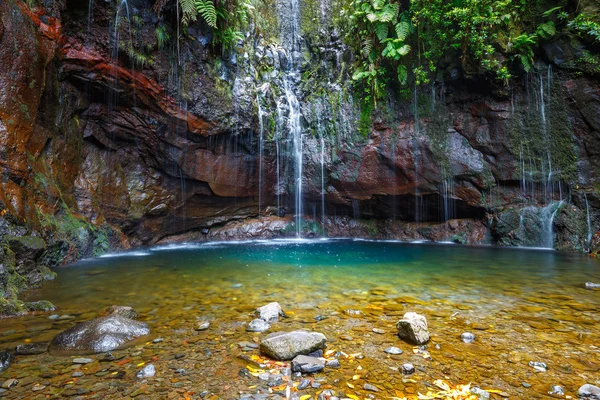 Cascata Levada das 25 caratteri, Isola di Madeira, Portogallo — Foto Stock