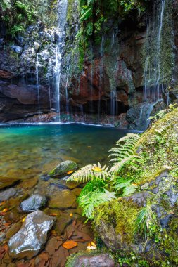 Şelale Levada 25 das fontes, Madeira Adası, Portekiz