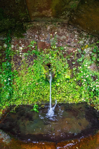 Close up of water source in the mountains, Madeira, Portugal — Stock Photo, Image