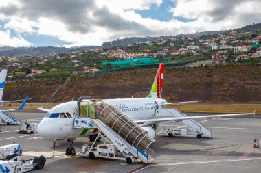 Funchal, Madeira - 6 Temmuz 2016: Tap Portekiz Airbus A319-yolcu yatılı 111 Funchal Cristiano Ronaldo havaalanında. Bu Havaalanı Avrupa'nın en tehlikeli Havaalanları biridir