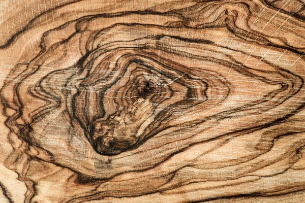 Крупный план из оливкового дерева — стоковое фото
