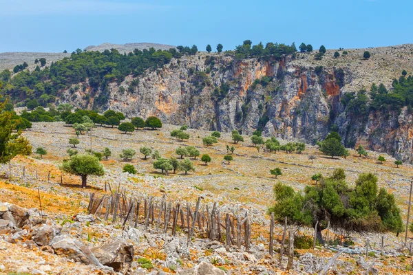 Garganta de Aradena, Isla de Creta, Grecia —  Fotos de Stock