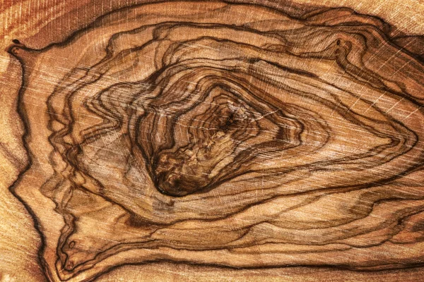 Close up of olive wood — Stock Photo, Image