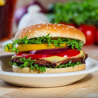 Hamburger beyaz plaka üzerinde kapat