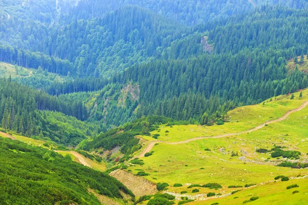 Maczeta góry, Rumunia — Zdjęcie stockowe