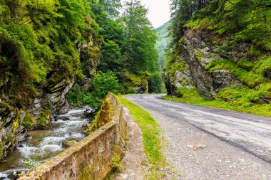 Monti Parang, romania 