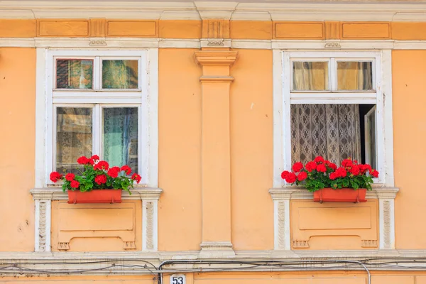 Ventanas y persianas, primer plano —  Fotos de Stock