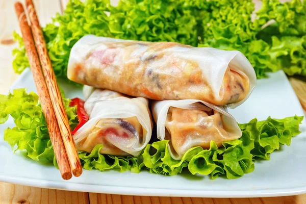 Rotoli primavera — Foto Stock