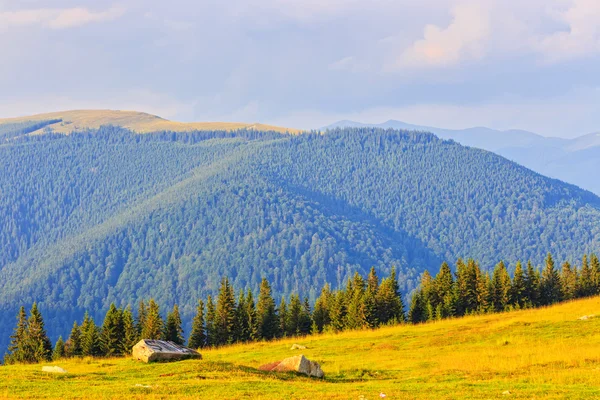Transalpina, Montagnes Parang, Roumanie — Photo