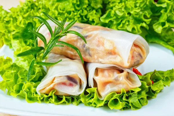 Rotoli primavera — Foto Stock