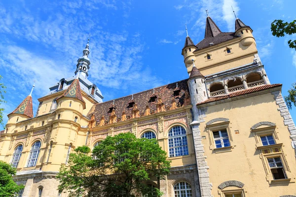 Castello di Vajdahunyad a Budapest, Ungheria — Foto Stock