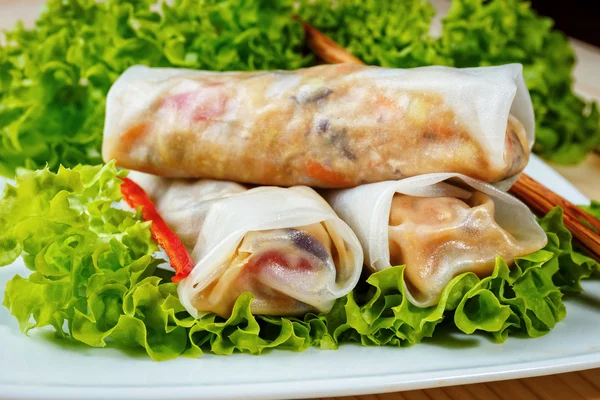 Rotoli primavera — Foto Stock