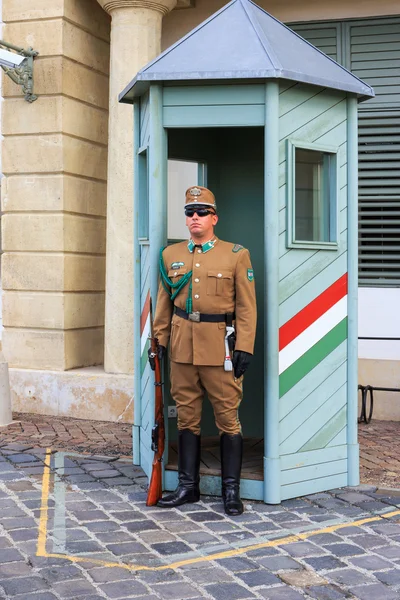 BUDAPEST, UNGHERIA - 24 LUGLIO 2014: Guardia cerimoniale al Palazzo Presidenziale. Sorvegliano l'ingresso dell'ufficio dei Presidenti al Sandor Palace di Budapest — Foto Stock