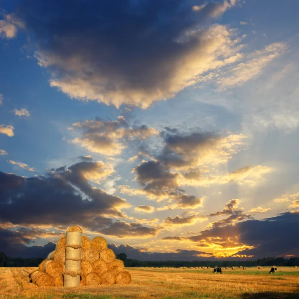 Big round bales of straw in the meadow. Polish countryside landscape in summer, vintage look — Stock Photo, Image