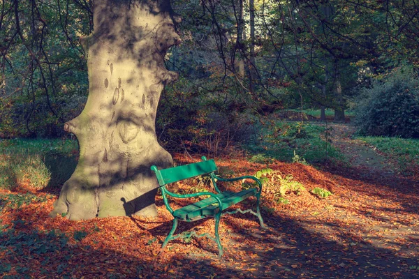 Banc dans le parc d'automne, look vintage — Photo