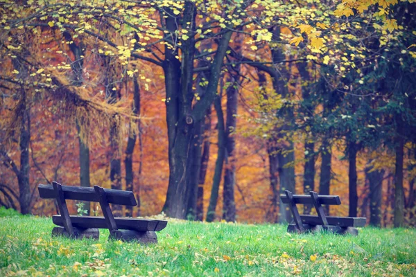 Bank im Herbstpark, Vintage-Look — Stockfoto