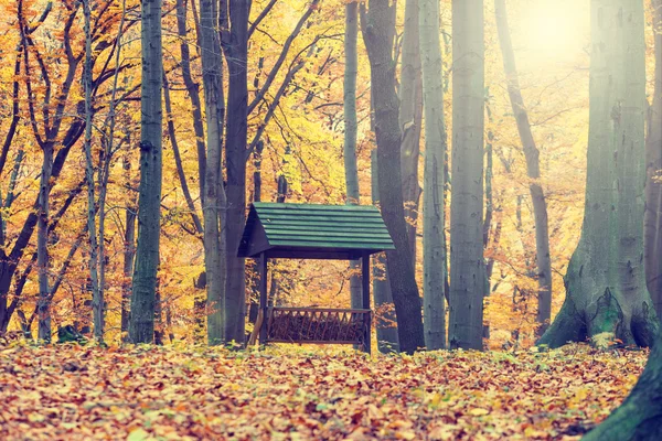 Alimentatore di animali nella foresta autunnale, look vintage — Foto Stock