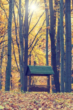 Hayvan besleme yuvasına sonbahar orman, vintage bir görünüm