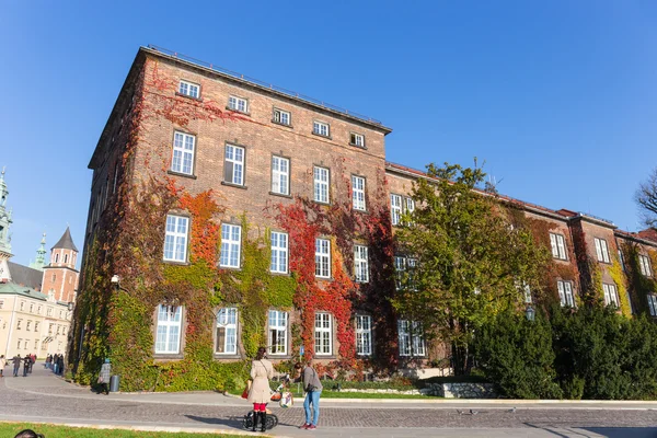 KRAKOW, POLÓNIA - 02 de novembro: As pessoas visitam o Castelo Real de Wawel em Cracóvia em 02 de novembro de 2014. Cracóvia é a cidade mais famosa para visitar na Polônia — Fotografia de Stock