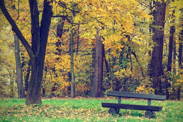 Panchina nel parco autunnale, look vintage — Foto Stock