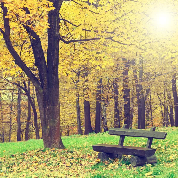 Panchina nel parco autunnale, look vintage — Foto Stock