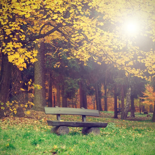 Lavička v podzimním parku, retro vzhled — Stock fotografie