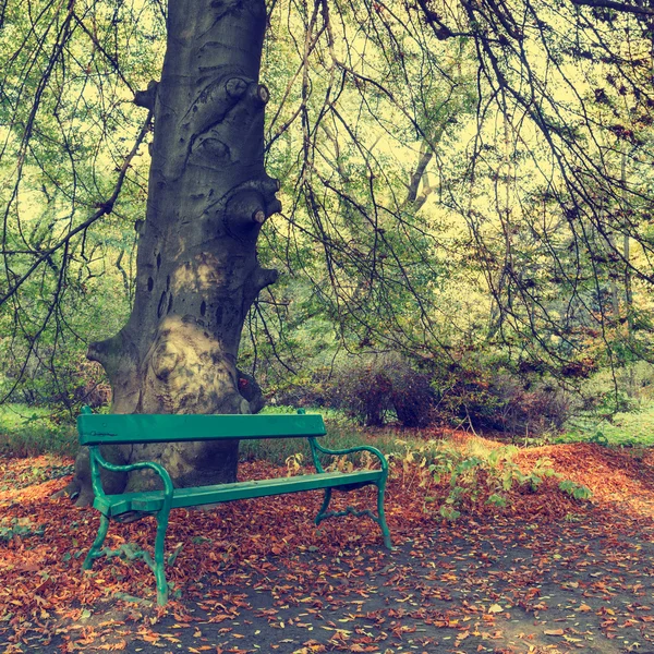 秋の公園、ビンテージの外観でベンチ — ストック写真